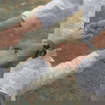 Rachma Hayatul Fitria profile icon