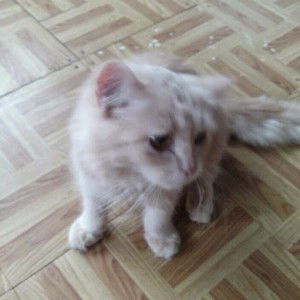 Emmanuel Raymundo profile icon