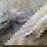 Emmanuel Raymundo profile icon