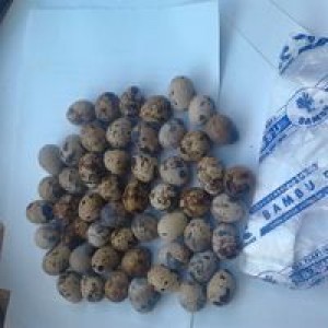 Muhammad Heru Prasetyo profile icon