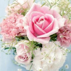 Wahda Adhania profile icon