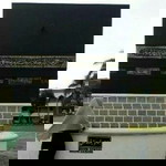 Varida Eva profile icon