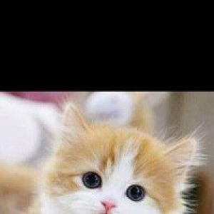 Wiwik Sundari profile icon