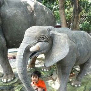 Solicha Niesa Al Hariez profile icon