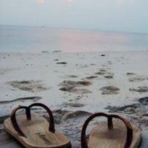 มินตรา แซ่ลี้ profile icon