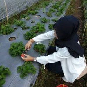 Nev's Ezra profile icon