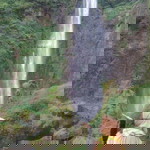 mega mulyati profile icon