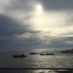 sulisa irtin profile icon