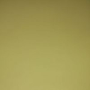 Turinah profile icon