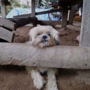 Cray Kraeng profile icon