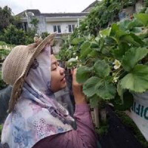 Ncik Bapil profile icon