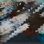 Bùi Văn Thanh profile icon