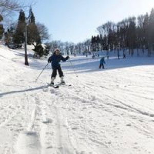 Anindita profile icon