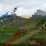 Risma Rusetya profile icon