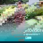 เปรม ลูก พ่อแดงแม่เล็ก profile icon