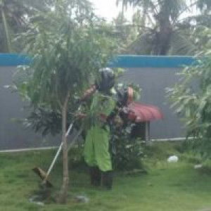 Sy Abdurrahman AL Qadrie profile icon