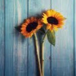 Fetty Nurmutia profile icon