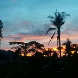 Nissy Nayoumie Fuensalida Mecate profile icon