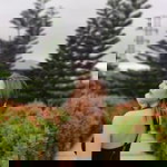 Janica Masongsong profile icon