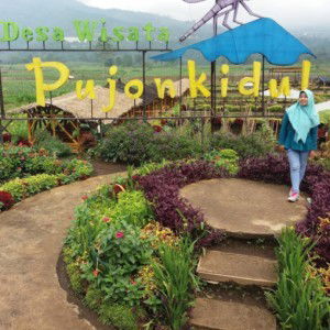 siti zahro profile icon