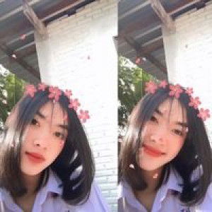 Sarocha Donsomjit profile icon