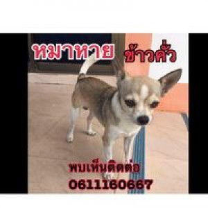 A Bo Butsarin profile icon