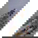 กวางเรน' เดีย. profile icon