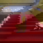 Nicole Taroma profile icon