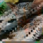 ludfiana maulida profile icon