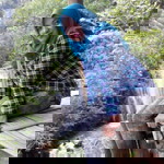 Artanti Isada profile icon