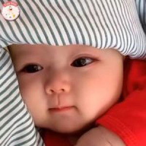 Vân Vân profile icon