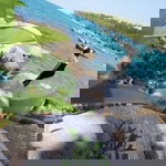 Nguyễn Nhựt Uyển profile icon