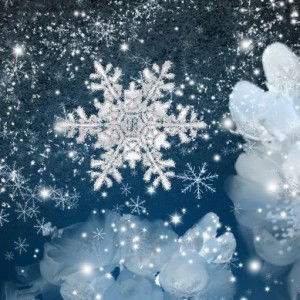 Yuu Inshi profile icon