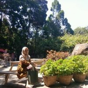 Serly Nurhadiningsih profile icon