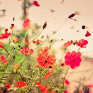 dewi wahyuni profile icon