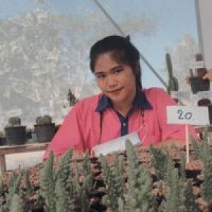 บุญญาพร ประจงมูล profile icon