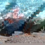 Hendra Aewes profile icon