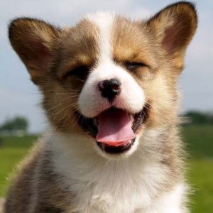 NaNa Hnang profile icon