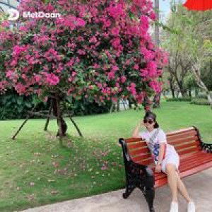 Ngoc Sam profile icon