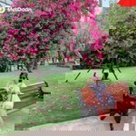 Ngoc Sam profile icon