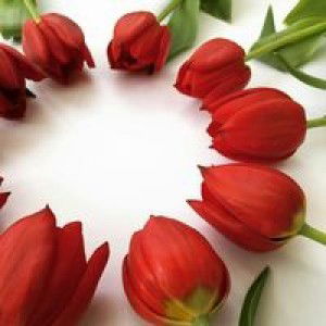 Hanna Shazia Khairunnisa profile icon