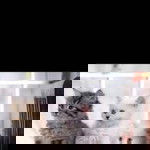 Neng shely mulyani profile icon