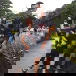 Nophee Alfaridzi profile icon