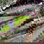 Zel Pondevilla Ross profile icon