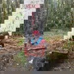 Awalia Nur Ramadhani profile icon