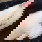 รุ่งอรุณ มีงามดี profile icon