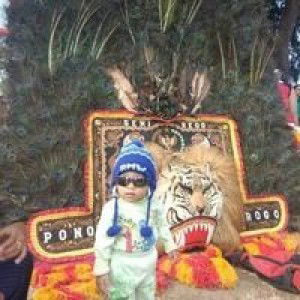 bunda gaozan profile icon