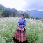 Chư Sói profile icon