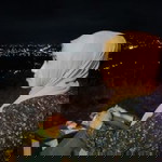 Nha Nha profile icon