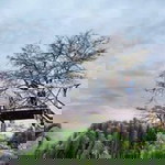 Karina Rachmawati profile icon